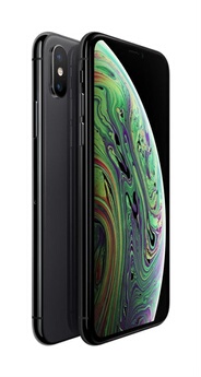 iPhone XS 64 Go 5,8" Gris sidéral -Reconditionné