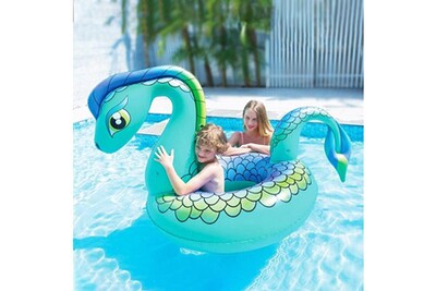 Matelas Gonflable Euroweb Dragon Gonflable Pour Piscine Bleu Turquoise 161 X 109 X 95 5 Cm Piscine Et Mer Darty Matelas Gonflable Euroweb Dragon Gonflable Pour Piscine Bleu Turquoise 161 X 109 X 95 5 Cm Piscine Et Mer Darty