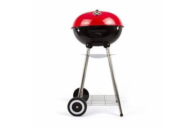 Plancha Logo Blanc Barbecue A Charbon Livoo O 41 Cm Doc172r Darty