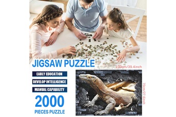 Puzzle AUCUNE 2000 pièces adulte et cadeau de vacances puzzle développement intellectuel ahildren - multicolore