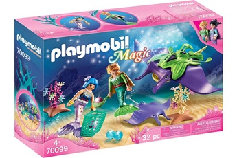 Figurine de collection PLAYMOBIL Playmobil - 70099 - ameublement et décoration - magie - multicolore