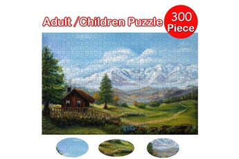 Puzzle AUCUNE 2021 adultes puzzles 300 pièces grand jeu de puzzle jouets intéressants cadeau personnalisé - multicolore