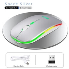 Souris Sans Fil Bluetooth 2,4 GHz Rechargeable - Argent