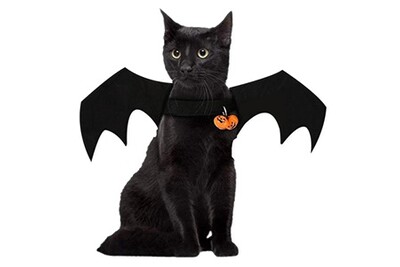 Deguisements Totalcadeau Deguisement Chien Ou Chat Ailes De Chauve Souris Costume Darty Deguisements Totalcadeau Deguisement Chien Ou Chat Ailes De Chauve Souris Costume Darty