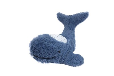 Jouets Educatifs Aucune Bebe Animaux En Peluche Calme Poupee Ours Blanc Bruit Machine Dormir Jouets De Projection W Darty Jouets Educatifs Aucune Bebe Animaux En Peluche Calme Poupee Ours Blanc Bruit Machine Dormir Jouets De Projection W Darty