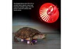 Fdit Fdit 1pc uva uvb reptile chauffage ampoule serpent tortue animaux lumière solaire à spectre complet 2.0 lampe (25w) photo 5