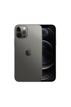 iPhone Apple iPhone 12 Pro Max 6,7 256 Go Double SIM 5G Graphite - Reconditionné