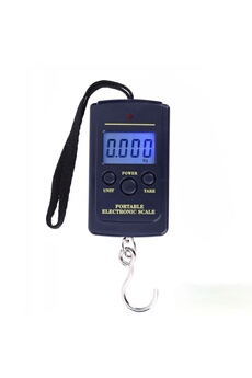 Balance de cuisine Niking Mini balance électronique de 40kg x 10g pour les balances de cuisine numériques portatives de voyage de bagages de pêche