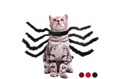 Deguisements Totalcadeau Deguisement Pour Chat Et Chien Araignee Geante Costume Animal Noir Darty Deguisements Totalcadeau Deguisement Pour Chat Et Chien Araignee Geante Costume Animal Noir Darty