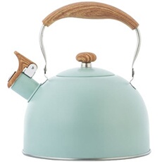 Generique Vert/Bleu Bouilloire À Sifflet En Acier Inoxydable 2.5 L Avec Yokuli Boîte De Rangement