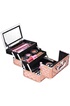 Giantex coffret de maquillage or rose 23 x 15 x 18cm avec miroir et verrouillage beauty case portable pour coiffeuse,fournitures de couture photo 3
