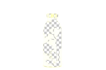 Gourde et poche à eau 24bottles 24bottles bouteille isotherme black dahlia 500ml