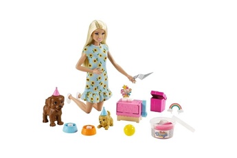 Poupée Mattel Barbie coffret anniversaire des chiens