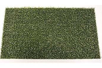 Tapis pour enfant Astroturf Astroturf 10187312fg classic tapis d'entrée extérieur polyéthylène vert classique 70 x 40 cm