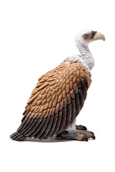 Figurine de collection Schleich Schleich 14847 - wild life vautour