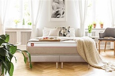 Ensemble sommier matelas LE SOYEUX 160x200cm Ressorts ensachés + Mémoire de forme BioVisco - Ep. 24cm + double sommiers Beige