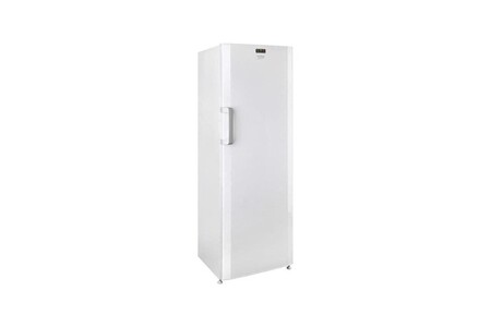 Congélateur armoire Beko - fs127330n - congélateur armoire - 237 l - froid statique - a+ - blanc