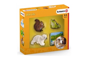 Figurine pour enfant Schleich 42474 fiches et figurines wild life
