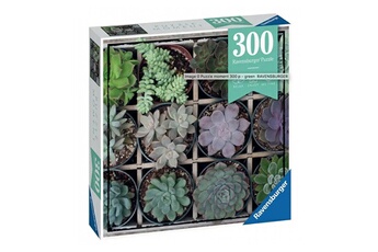 Puzzle Ravensburger Puzzle moment green 300 pieces