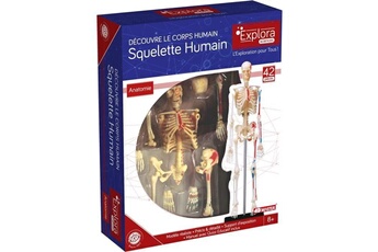 Autre jeux éducatifs et électroniques Mgm Mgm - explora - anatomie squelette - expérience anatomie