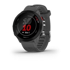 Forerunner 55 - Montre de sport avec bande - silicone - affichage 1.04" - Bluetooth, ANT+ - 37 g - gris monterra