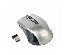 MUSW-4B-04-BG - Souris - optique - 4 boutons - sans fil - 2.4 GHz - récepteur sans fil USB - noir, gris sidéral - blister