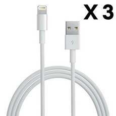 Câble Lightning blanc Apple chargeur iPhone ×3 1m