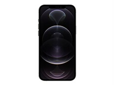 iPhone 12 Pro Max - 5G smartphone - double SIM / Internal Memory 256 Go - écran OEL - 6.7" - 2778 x 1284 pixels - 3 x caméras arrière 12 MP, 12 MP,