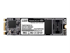 Team Group MS30 M.2 256GB SATA III