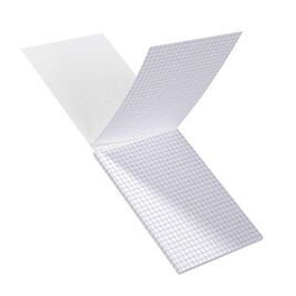 OXFORD Bloc 30 Fiches Bristol 125x200 Mm Quadrillé 5x5 Rouge – Perforé 2 Trous, Papier 210g, Fabriqué France