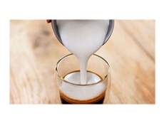 CA6500 Milk Twister - Mousseur à lait - 120 ml - 500 Watt - noir