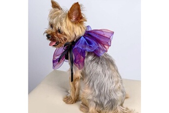 Bavoirs Wewoo 2 pièces écharpe pour animaux de compagnie halloween noël habiller écharpe triangle de rêve, taille: chien l (violet)