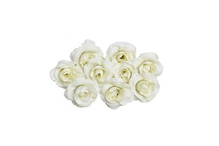 Article de décoration Wewoo Fleurs artificielles 10 ensembles 4cm fleur  artificielle soie rose tête de pour la maison de mariage décoration blanc  vert | Darty