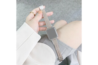 Accessoires bracelet et montre connectée Wewoo Bracelet de montre de remplacement en acier à double lignes pour apple watch series 6 & se & 5 & 4 40 mm / 3 & 2 & 1 38 mm (argent or rose)