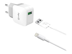 TCUSBLIGHT - Adaptateur secteur - 2.4 A (USB) - sur le câble : Lightning