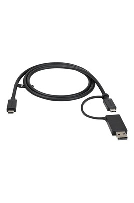 Cables USB StarTech.com Câble USB-C avec Adaptateur USB-A 1m - Câble  Hybride 2-en-1 USB C avec USB-A - USB-C vers USB-C (10Gbps/100W PD) - USB-A  vers USB-C (5Gbps) - Idéal