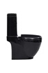 vidaXL Toilette en céramique Écoulement d'eau à l'arrière Noir photo 4