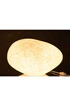 GENERIQUE Lampe à Poser Ovale Dany 40cm Blanc photo 2