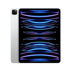 iPad Pro 12,9" Puce Apple M2 256Go Argent Wifi Fin 2022