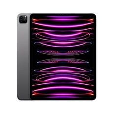 iPad Pro 12,9" Puce Apple M2 256Go Gris Sidéral Wifi Fin 2022