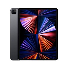 iPad Pro 12.9 Wf Cl 256 Gry