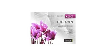 CYCLAMEN 260 X 240 CM