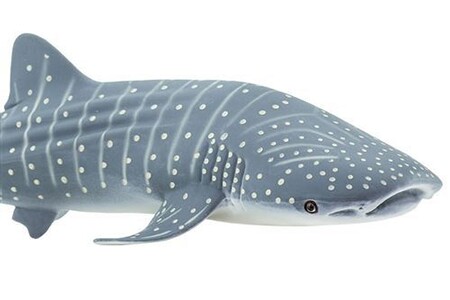 Figurine de collection Safari Ltd Safari requin-baleine junior 18 cm caoutchouc blanc/gris