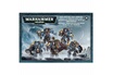 Warhammer Boite de 5 figurines 40.000 Escouade de terminator gardes loups photo 1