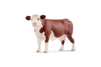- Vache Hereford