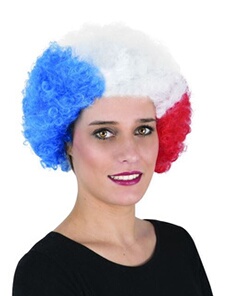 Perruque tricolore adulte