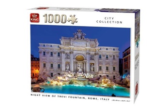 puzzle king puzzle trevi fontaine rome 1000 pièces