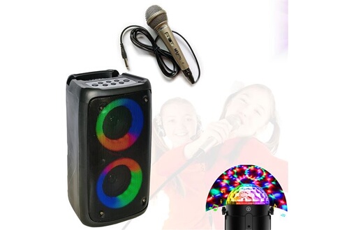 Enceintes, baffle et amplis DJ Party Light & Sound Enceinte Karaoke  Enfant sur batterie USB Bluetooth PARTY LEO-250 - Micro - Jeu de Lumière  Disco - Boum - Fête Anniversaire