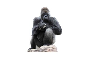 article et décoration de fête generique figurine géante ''gorille''