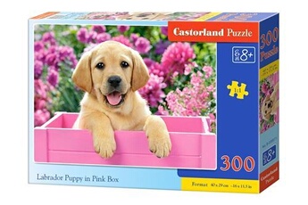 puzzle castorland jigsaw labrador chiot en boîte rose 300 pièces